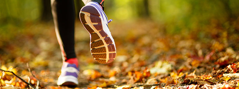 Laufschuhe im Herbstwald