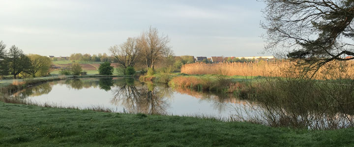 Weiher in der Morgensonne