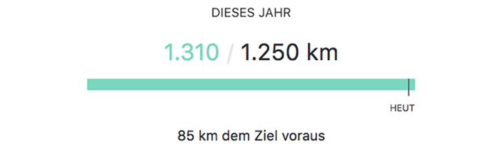 Sportliche Nabelschau 2017