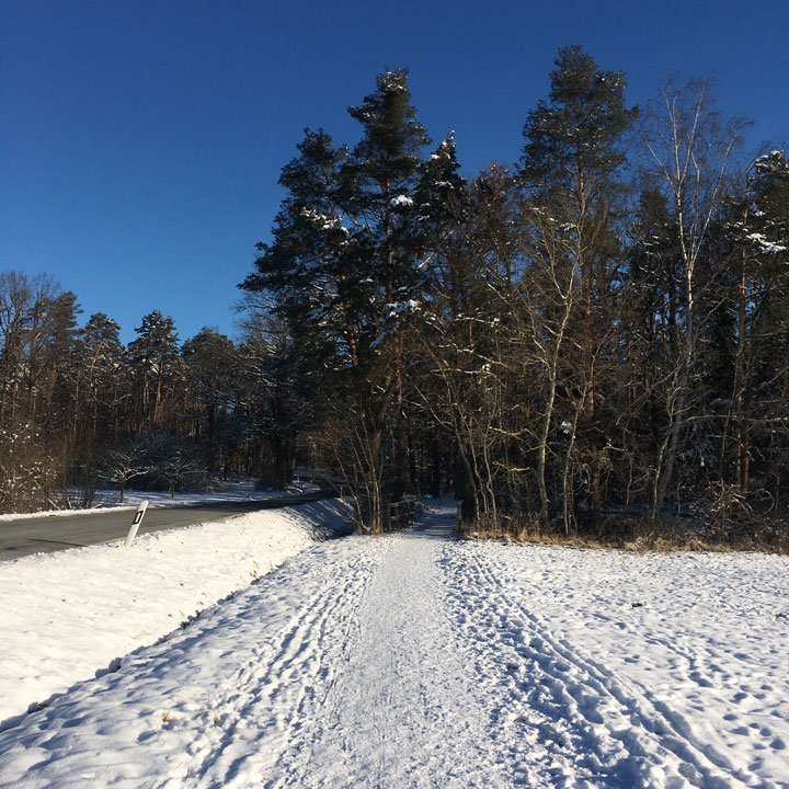 Verschneiter Weg in stahlendem Sonnenschein