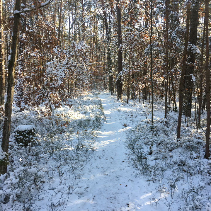 Tief verschnieter Singletrail